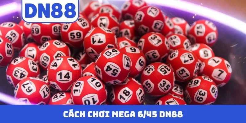 Mega 6-45 DN88